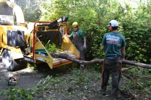 tree services Beecher City